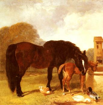 約翰 弗雷德裡尅 赫爾林 Horse and Foal watering at a trough